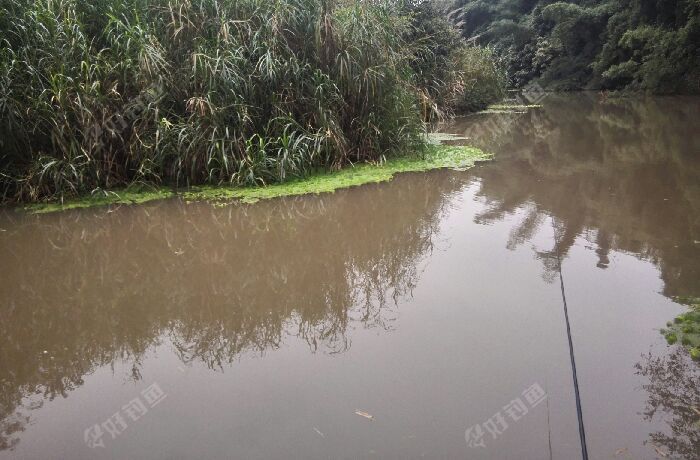 九曲河的某些段溪流沟渠