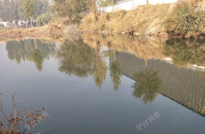 智阳大坑废弃的鱼池