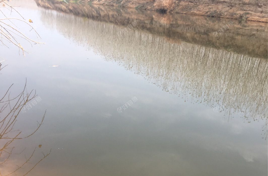 龙王河石埠后河