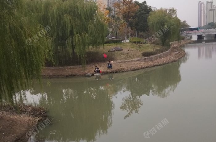 区政府门口野河
