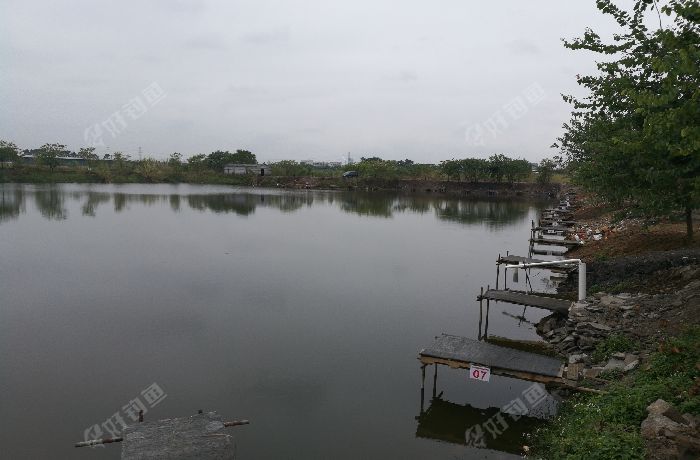 新华大陵新钓场