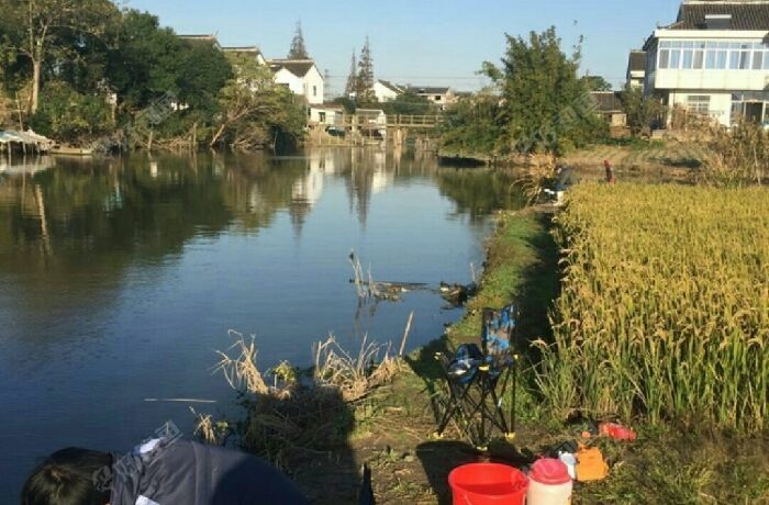 山前村中间河道