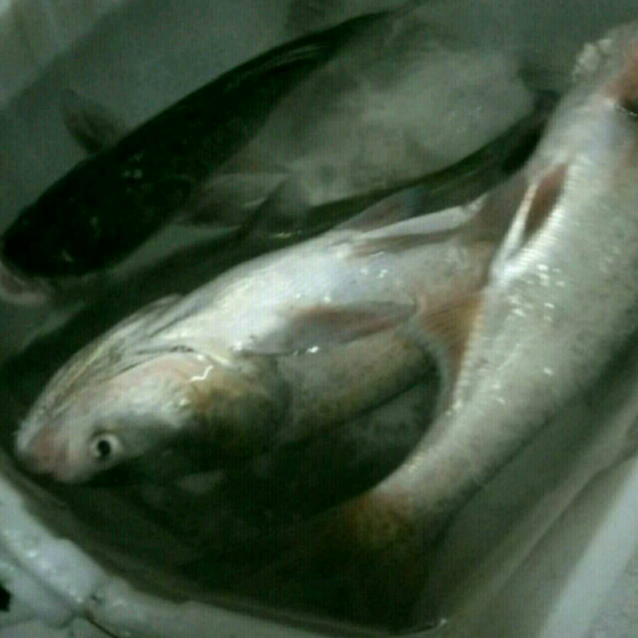 松山湖音乐广场