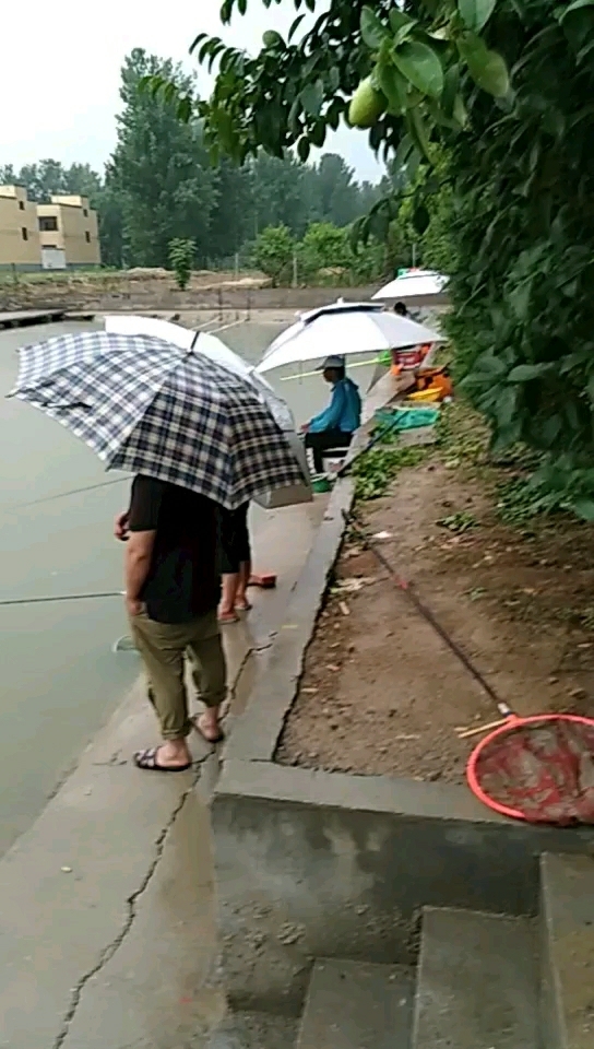 舞阳大杨庄聚友垂钓园