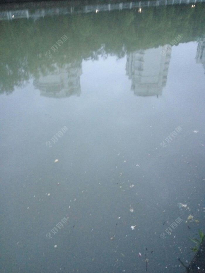 IMG_20190621_045110_1.jpeg