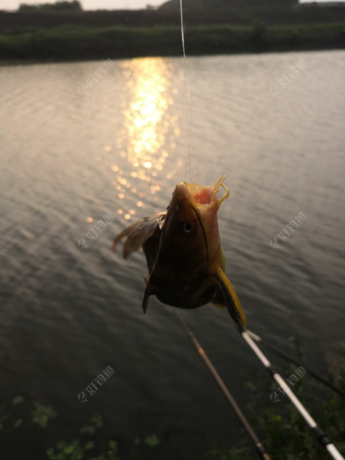 皇军少佐助我开竿