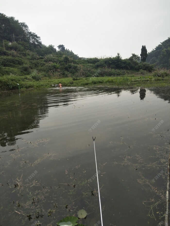 看看这个光屁股要不要报上平