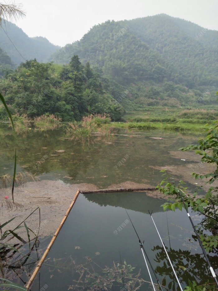 位置开好三天了，还没遇上像