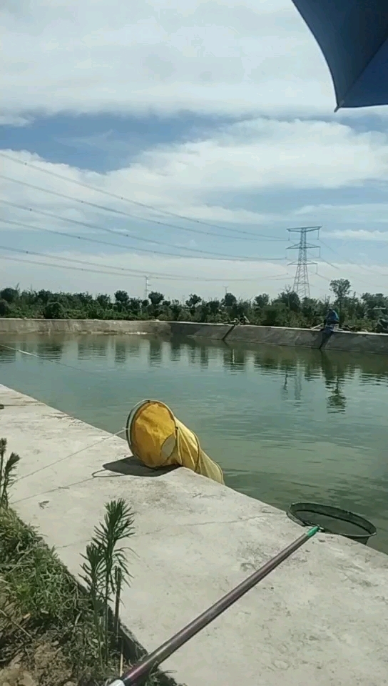 高陵杨畔垂钓园