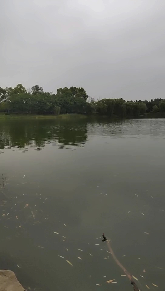 台儿庄开发区人工湖