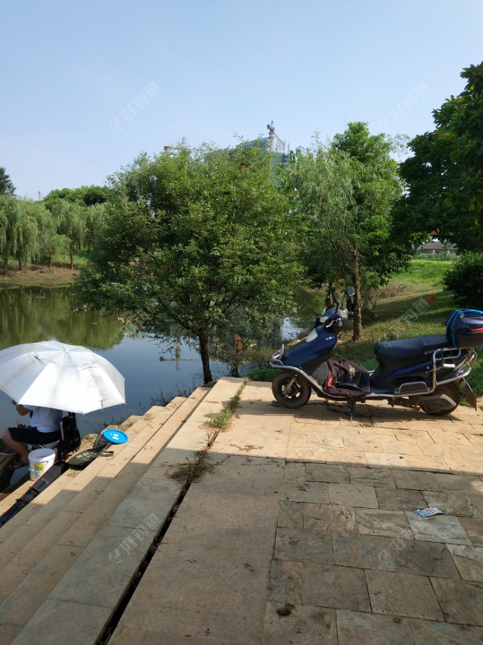 IMG_20190721_091716.jpeg