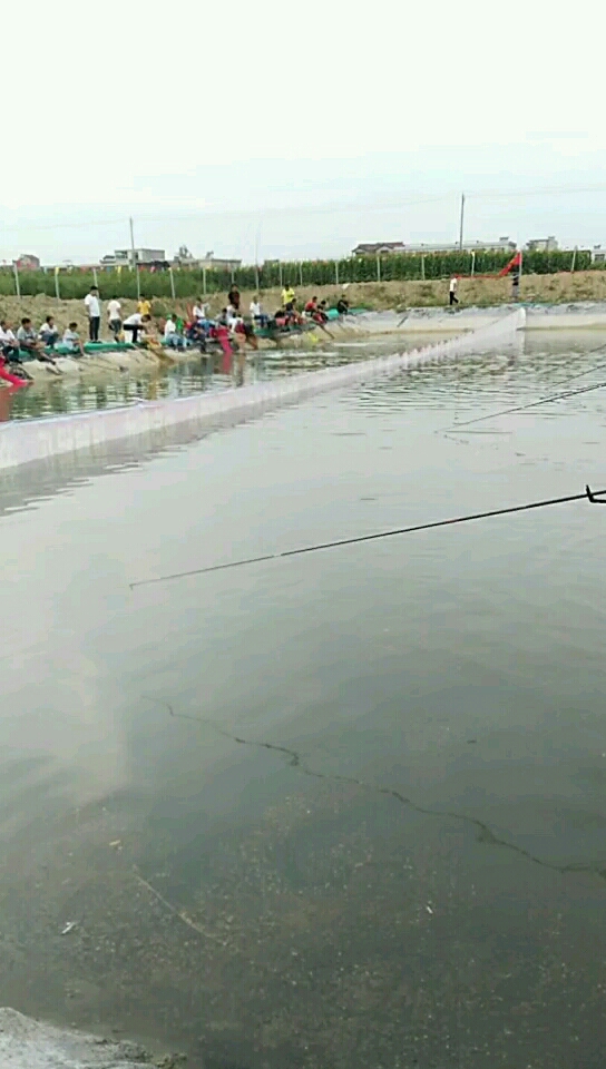 聚朋农庄垂钓中心