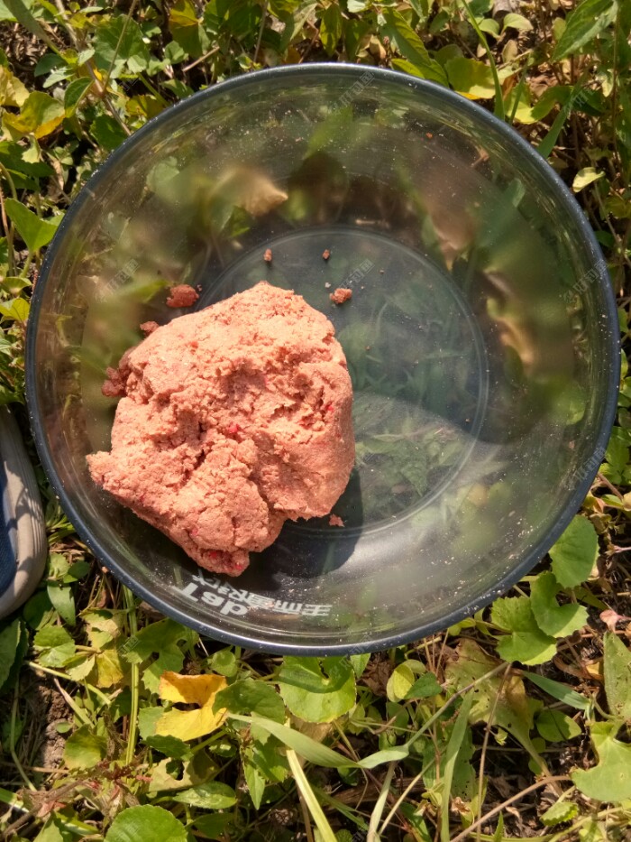 饵料以经开好我是按照腥香鲫