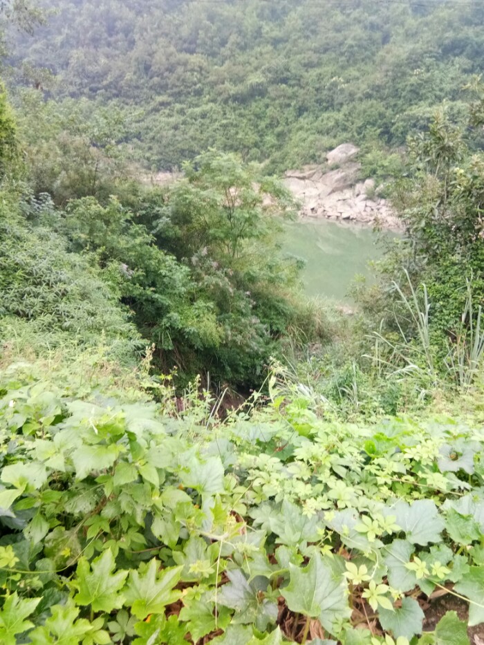 快到钓点了下面就是心急如焚啊……