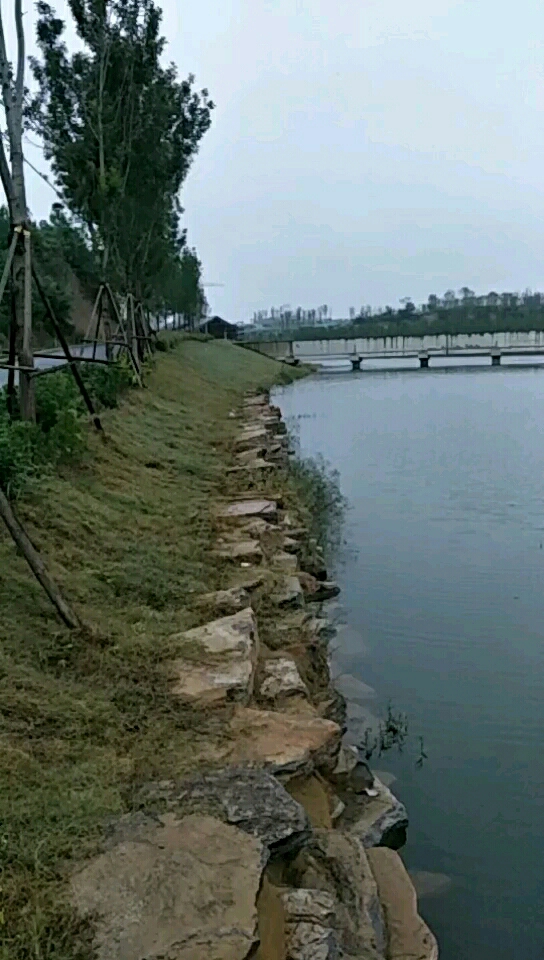 航海西路贾鲁河