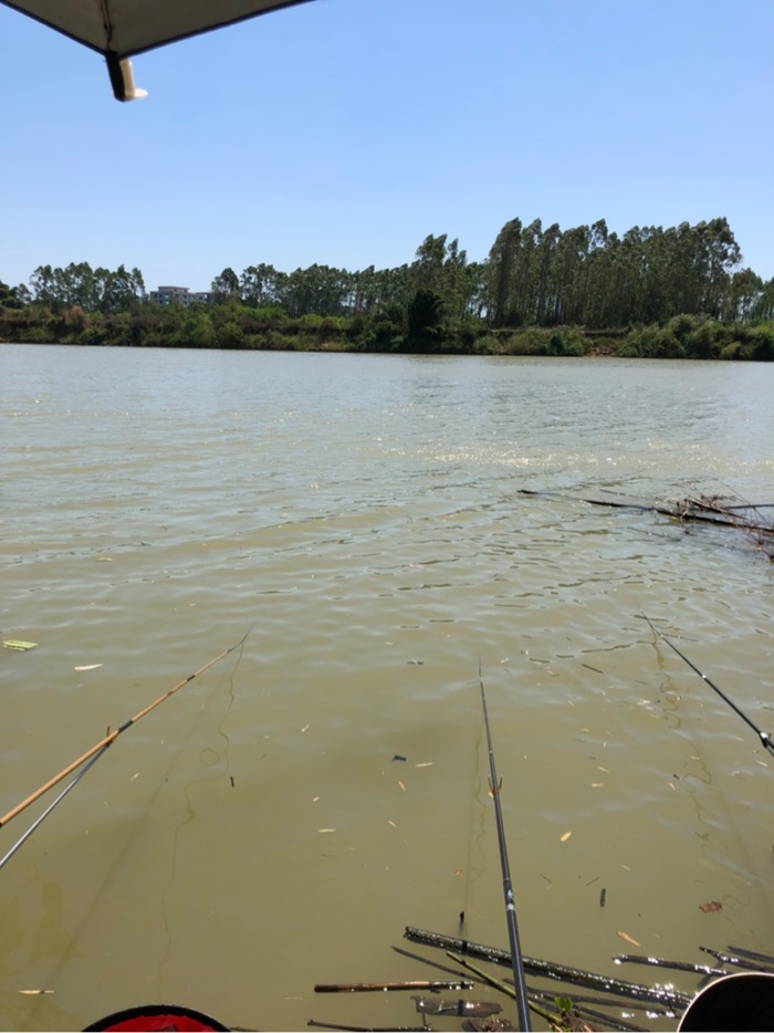 水浑浊啊
