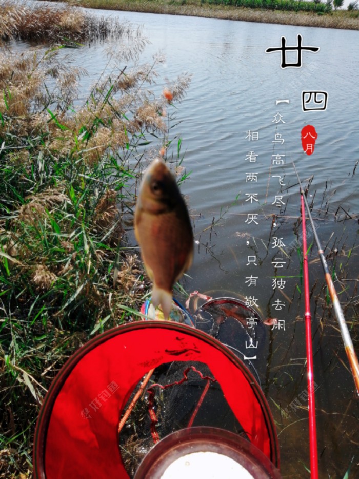 拍的照片嫌小了！