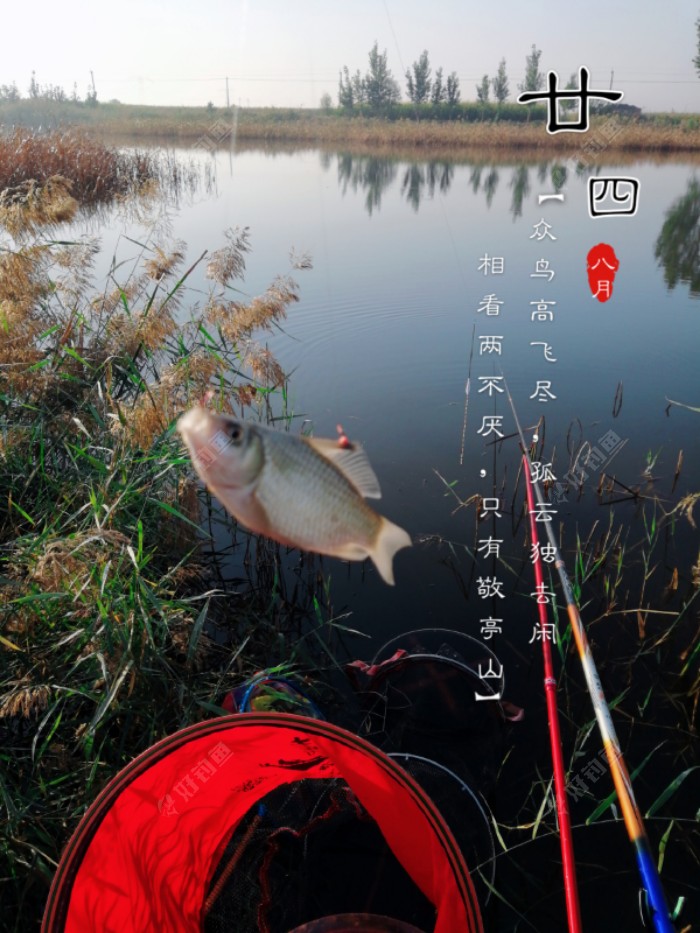 这个姿势的，今天钓了好几条！