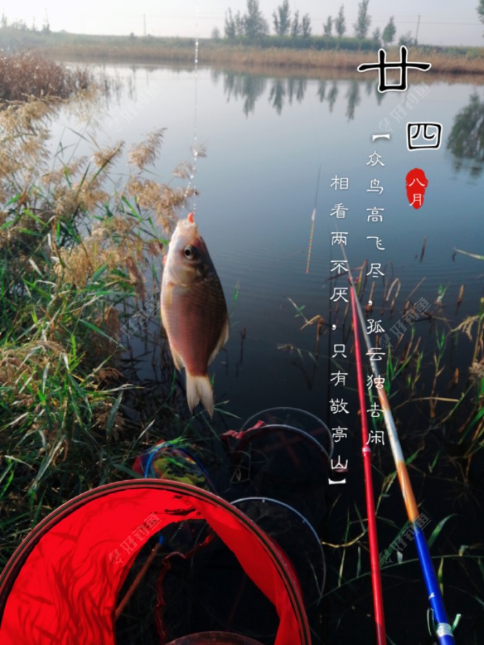 开杆了就是咱的天下了，准备连一阵！