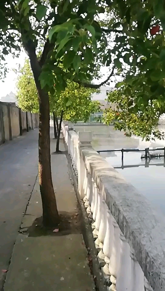 泗泾菜市场旁边小河