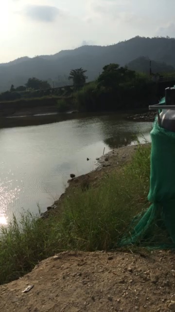 淡水河野钓