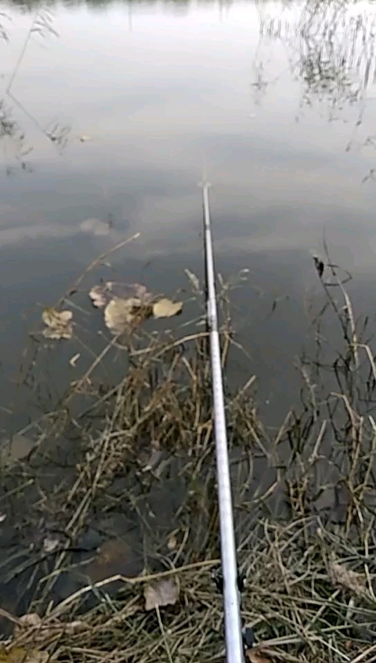 高楼西孟山水库