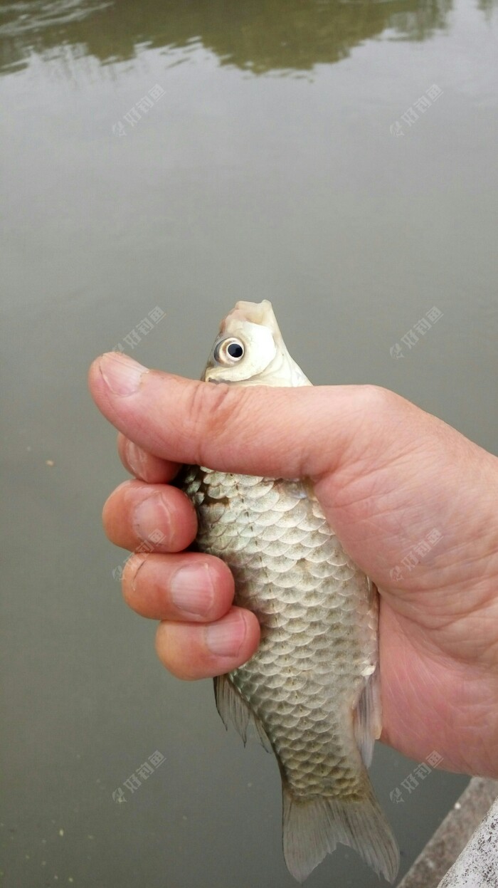cjd0iV3Ce1l2sKdaf9qUpDHhJAbvV.jpeg