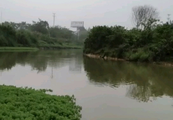 宝宝农场旁边河流