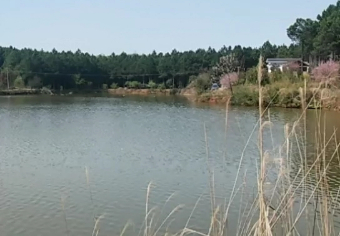 新市易清潭水库