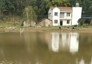 明江生态垂钓园