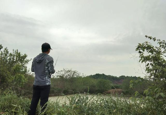 cjd0iVB8guAwXEcnt2JUVDLqmzMPQ.jpeg