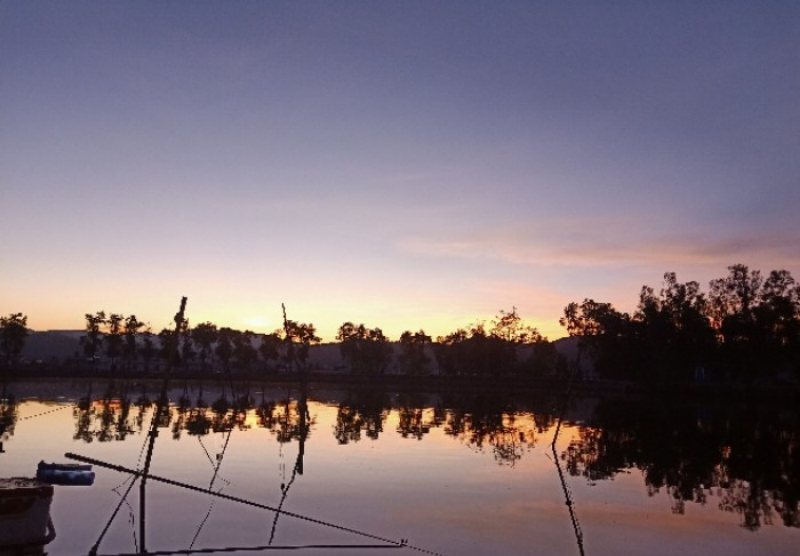 彩云大兴坝垂钓休闲园