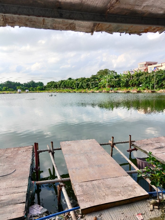 田心聚贤综合塘