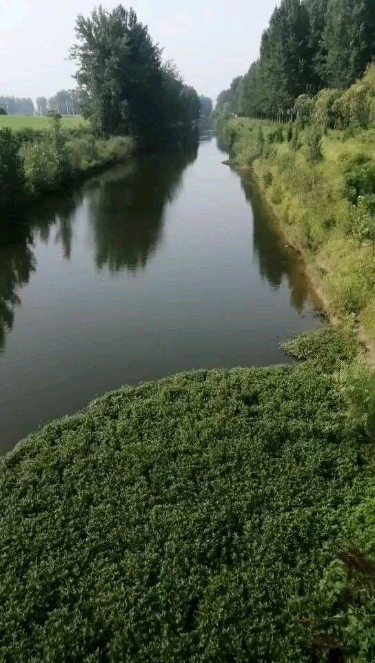 雷锋运河-南北河