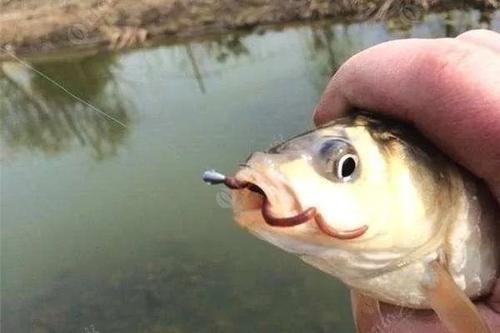 cjd0iVLNHZ31RzuEJqYAOU2Iykibf.jpeg
