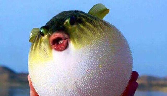 cjd0iVUB5ehJWNRMOY-Z2paQHo0bj.jpeg