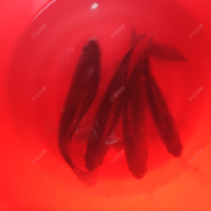 cjd0iVIjRvUma9bNSpBMLnsuKkhyH.jpeg