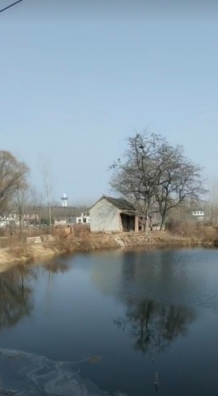 新城区车管所梁庄鱼塘