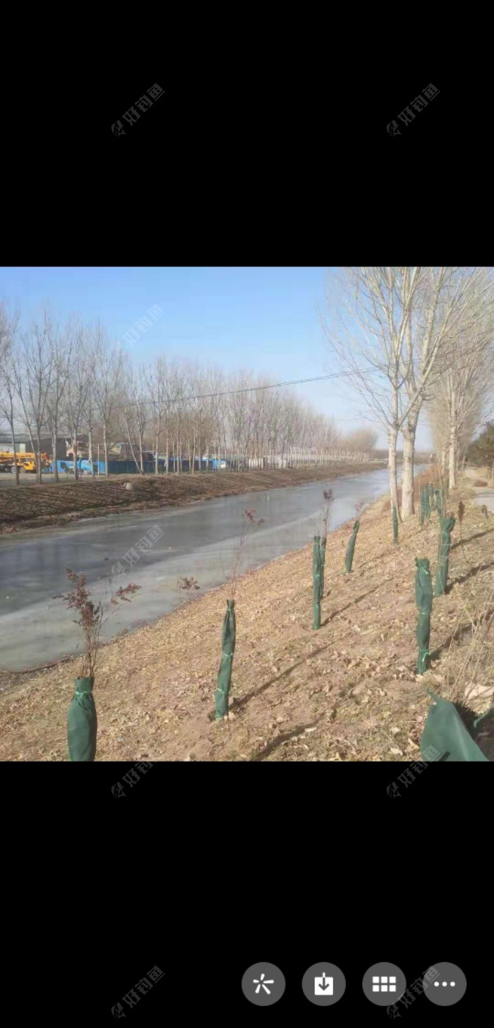 Screenshot_20210101_131502