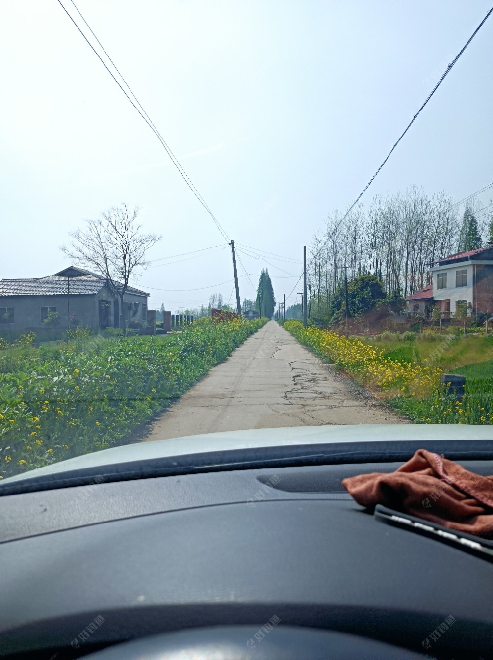 又走在乡村小路上了。远处是金家垱电排！