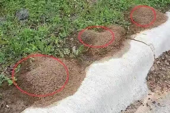 cjd0iVXRM3qPYkFmw2zdlitpTojWU.jpeg