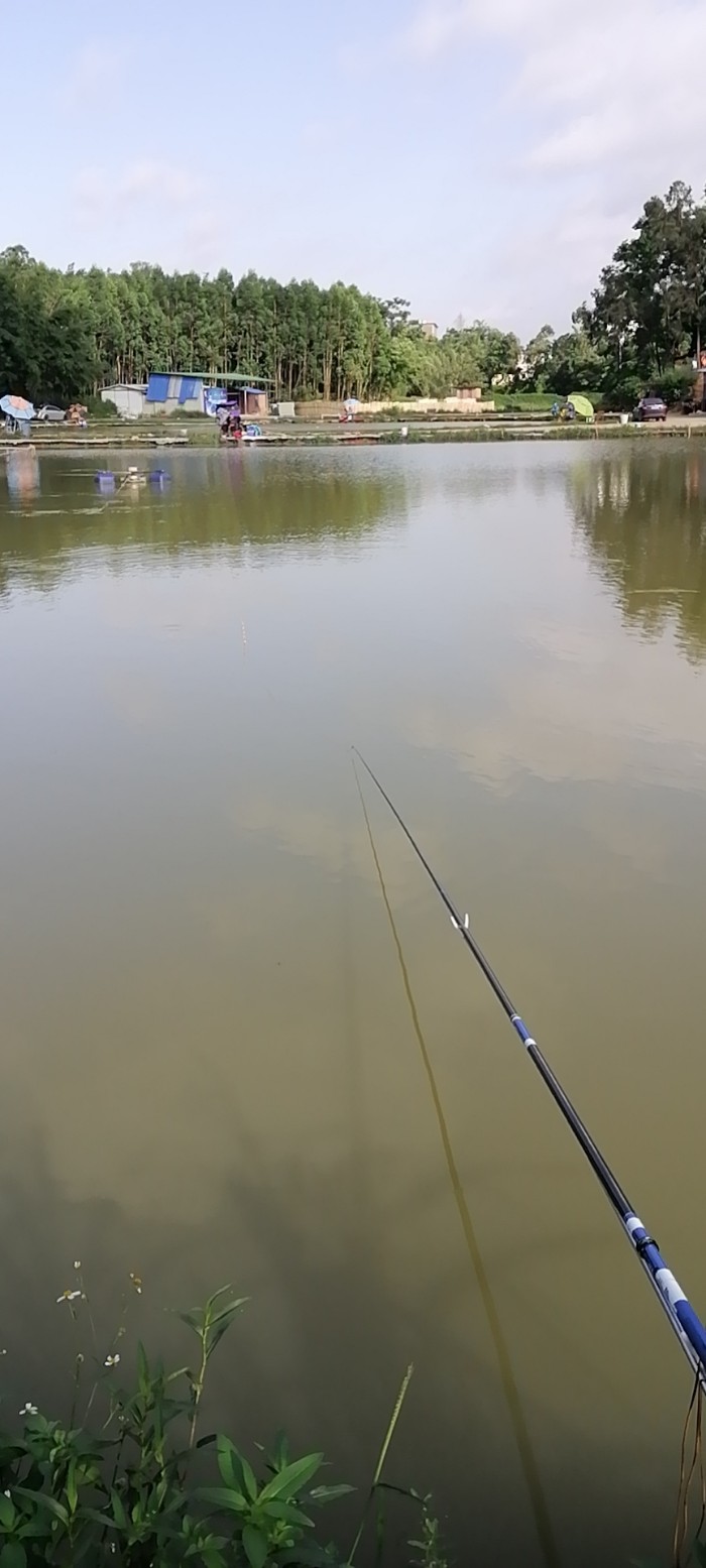 醒目休闲钓场