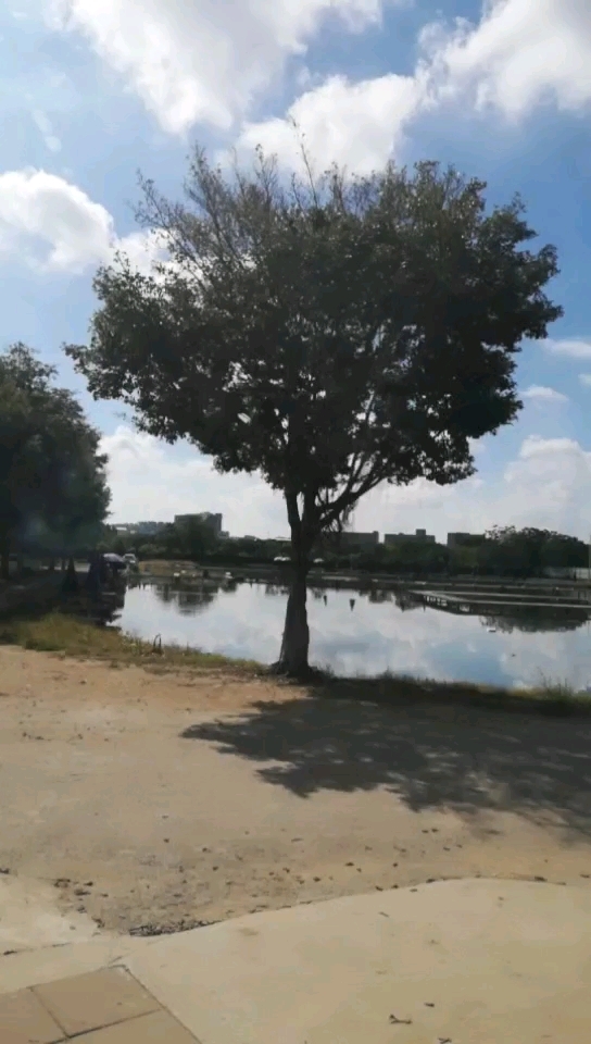 澜湖台钓/路亚基地