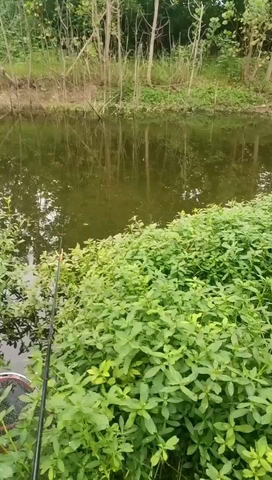 原墙镇世纪新城疫苗接种旁边小河沟