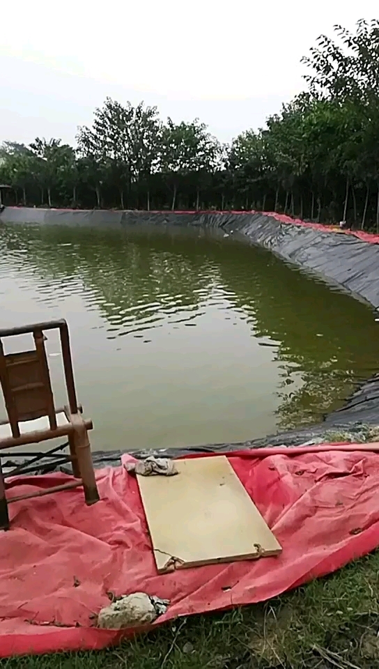 桂花园欢乐钓鱼塘