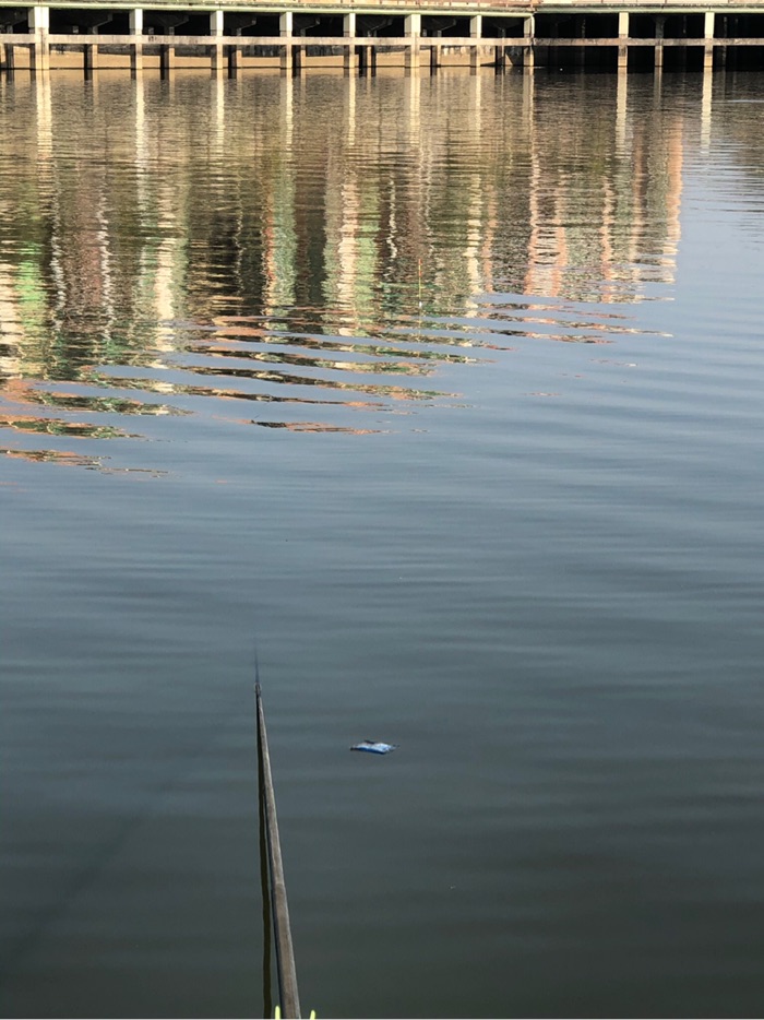 谢岗杏花村欧阳钓场