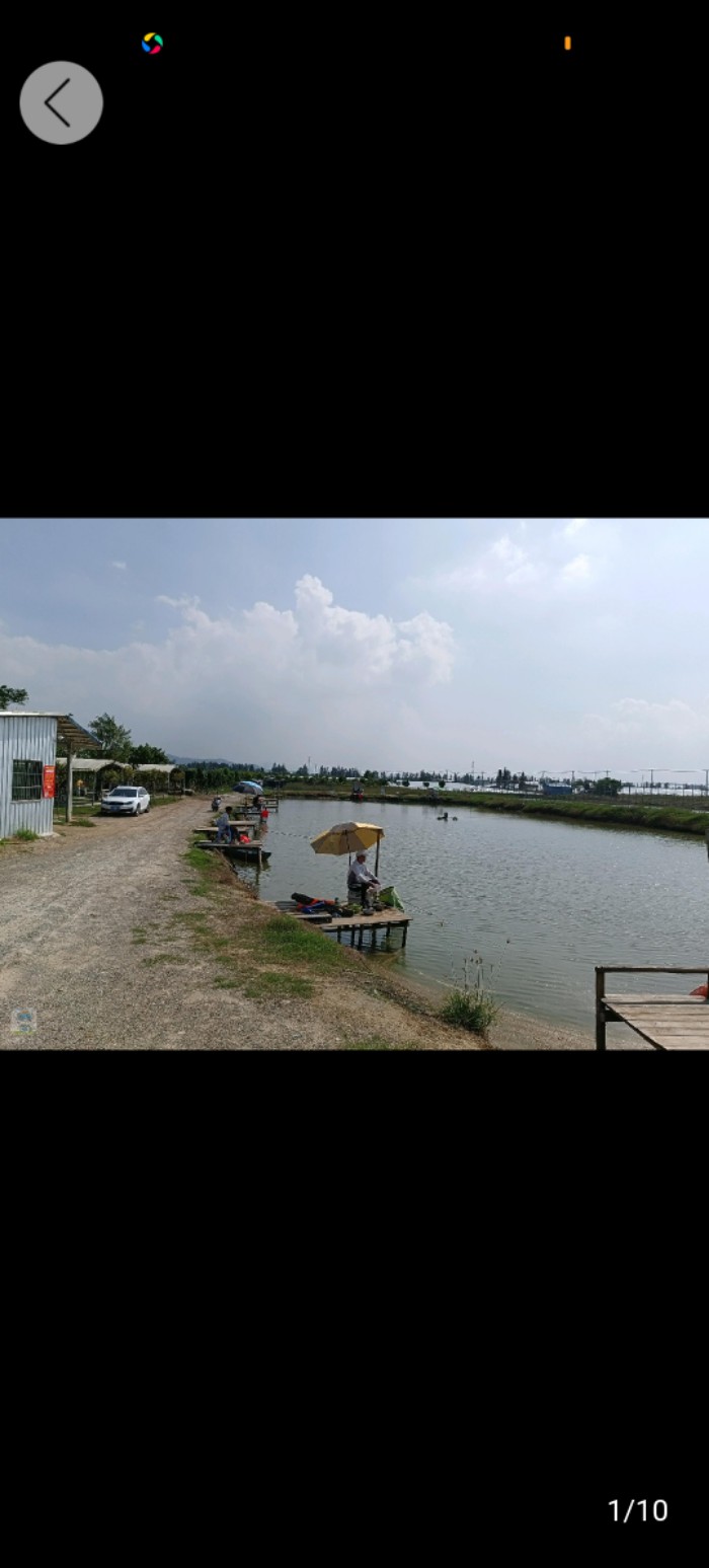 大鳌镇东风村生态园