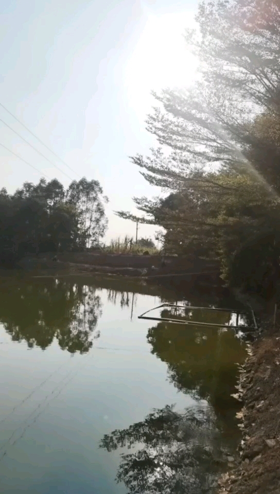 国泰山庄垂钓园