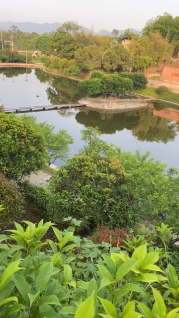 恋春淡水鱼养殖场