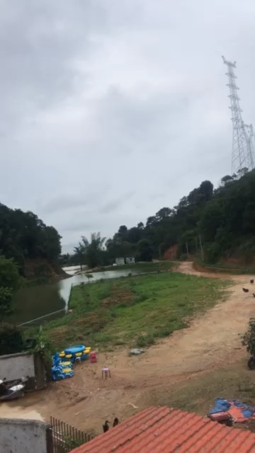 大隆山塘钓鱼场